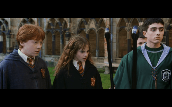 Harry Potter and the Chamber of Secrets - 456