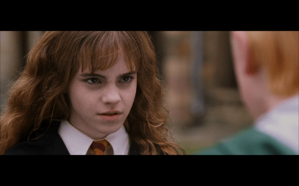 Harry Potter and the Chamber of Secrets - 462