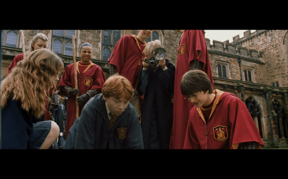 Harry Potter and the Chamber of Secrets - 469