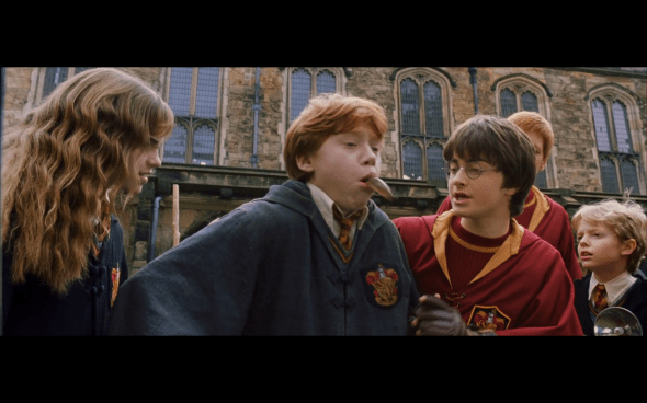 Harry Potter and the Chamber of Secrets - 470