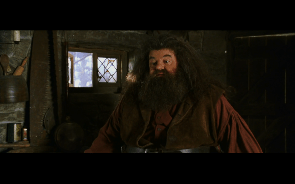 Harry Potter and the Chamber of Secrets - 473