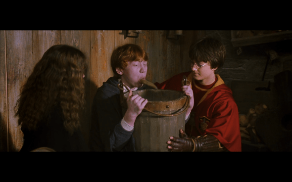 Harry Potter and the Chamber of Secrets - 474