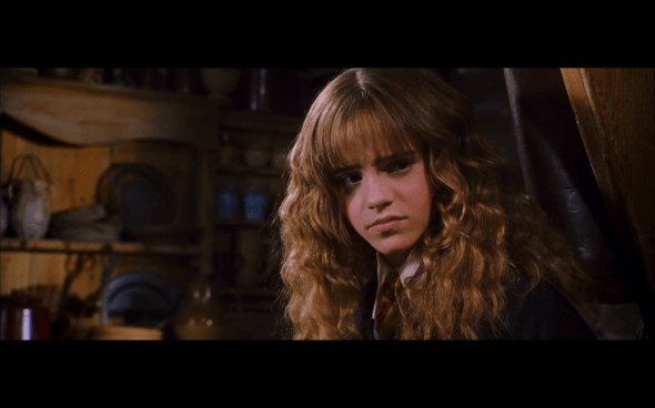 Harry Potter and the Chamber of Secrets - 481