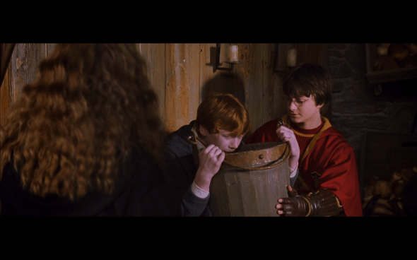 Harry Potter and the Chamber of Secrets - 482