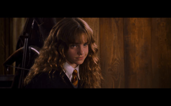 Harry Potter and the Chamber of Secrets - 484