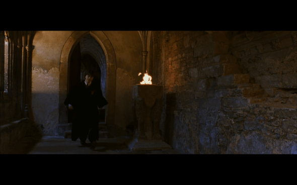Harry Potter and the Chamber of Secrets - 493