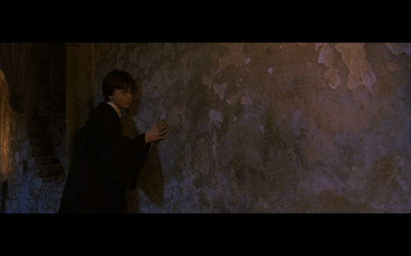 Harry Potter and the Chamber of Secrets - 495