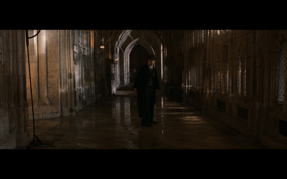 Harry Potter and the Chamber of Secrets - 498