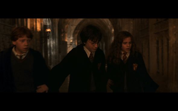 Harry Potter and the Chamber of Secrets - 499