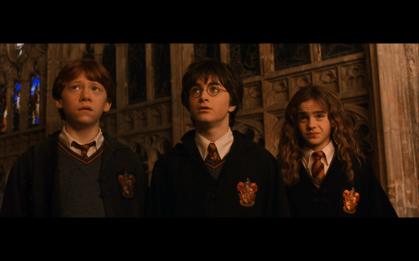 Harry Potter and the Chamber of Secrets - 503