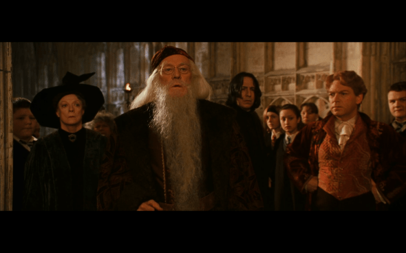 Harry Potter and the Chamber of Secrets - 513