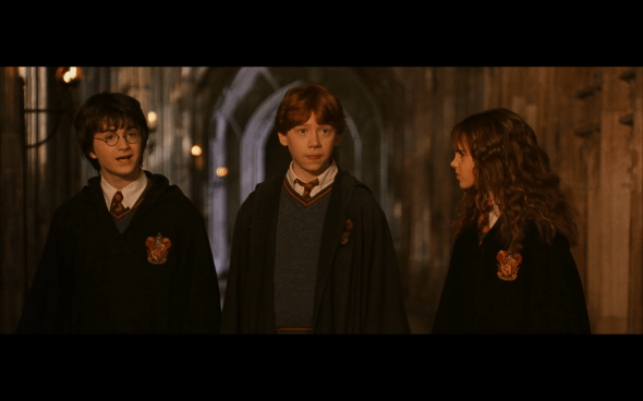 Harry Potter and the Chamber of Secrets - 523
