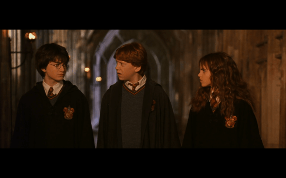 Harry Potter and the Chamber of Secrets - 525