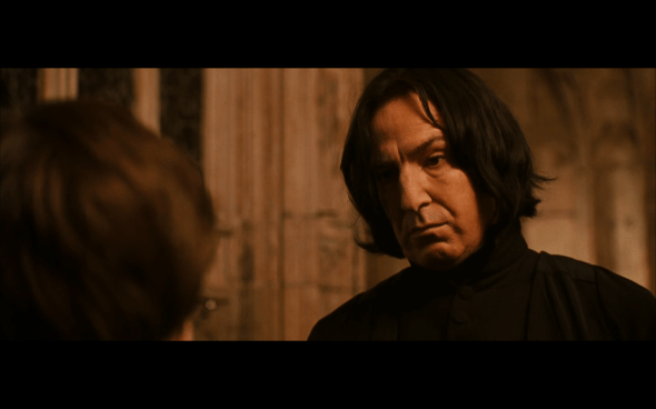 Harry Potter and the Chamber of Secrets - 528