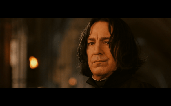 Harry Potter and the Chamber of Secrets - 530