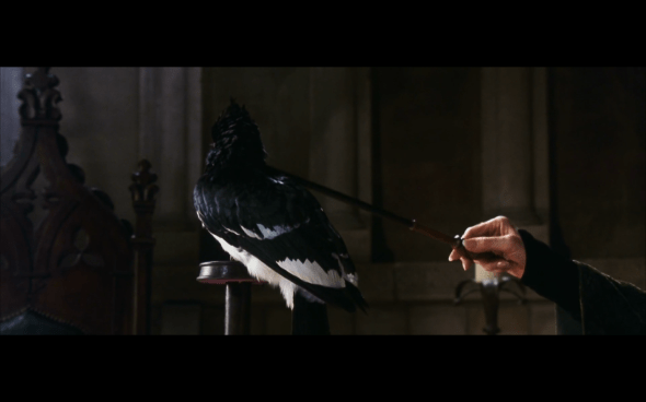 Harry Potter and the Chamber of Secrets - 537