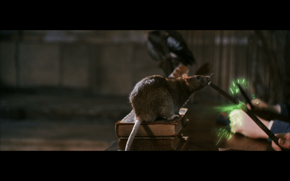 Harry Potter and the Chamber of Secrets - 541