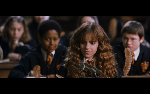 Harry Potter and the Chamber of Secrets - 543