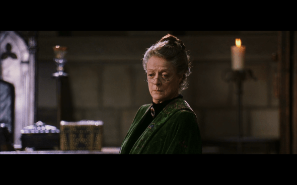 Harry Potter and the Chamber of Secrets - 544