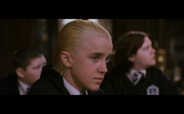 Harry Potter and the Chamber of Secrets - 546