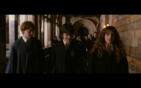 Harry Potter and the Chamber of Secrets - 551