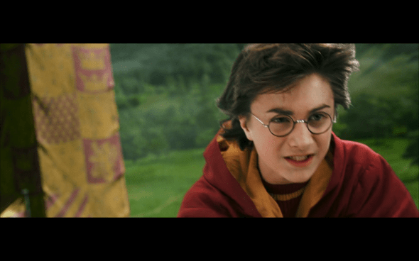 Harry Potter and the Chamber of Secrets - 558