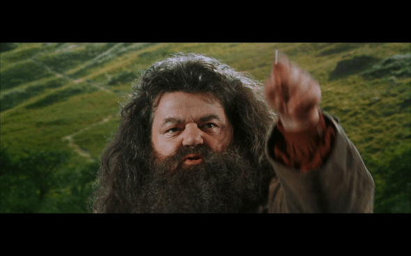 Harry Potter and the Chamber of Secrets - 569