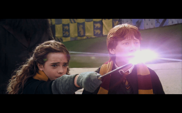 Harry Potter and the Chamber of Secrets - 600