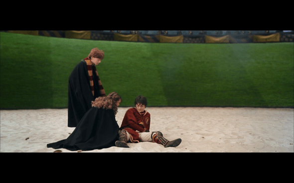 Harry Potter and the Chamber of Secrets - 603