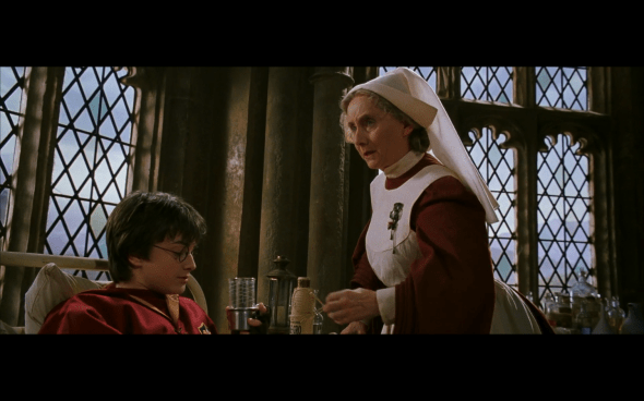 Harry Potter and the Chamber of Secrets - 613