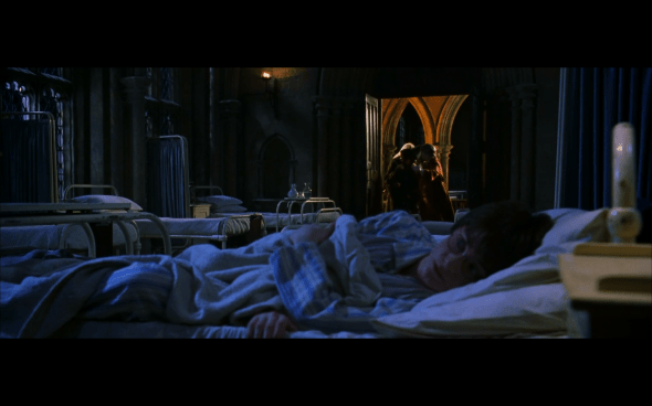 Harry Potter and the Chamber of Secrets - 627