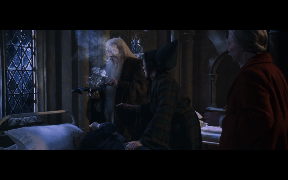 Harry Potter and the Chamber of Secrets - 630