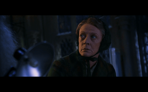 Harry Potter and the Chamber of Secrets - 632