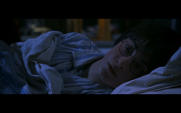 Harry Potter and the Chamber of Secrets - 634