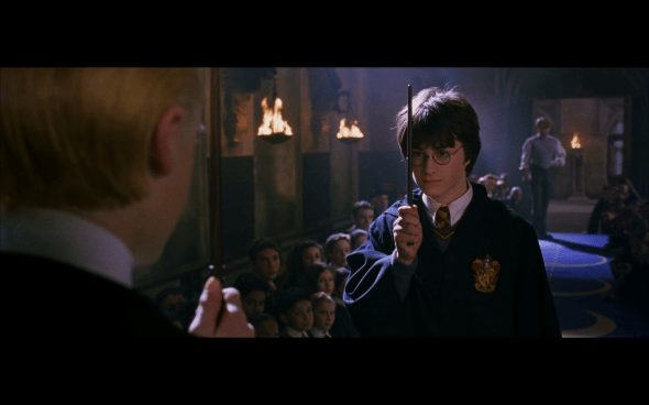 Harry Potter and the Chamber of Secrets - 668