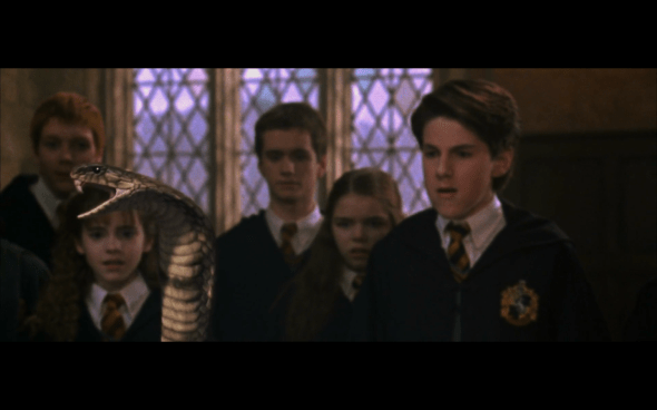 Harry Potter and the Chamber of Secrets - 683