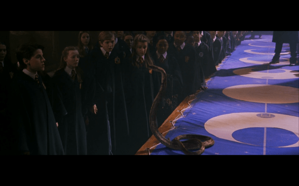 Harry Potter and the Chamber of Secrets - 689