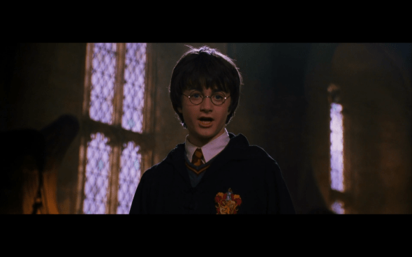 Harry Potter and the Chamber of Secrets - 690