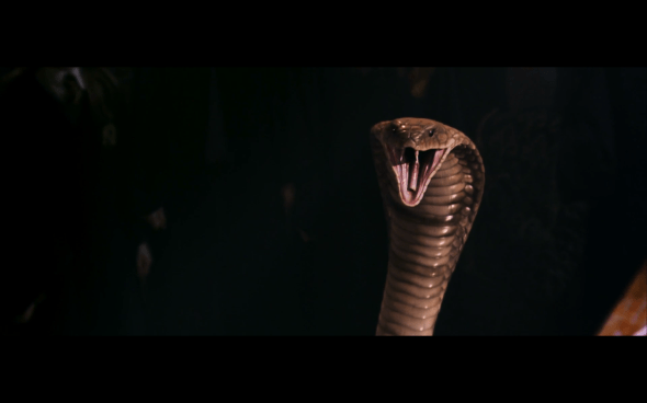 Harry Potter and the Chamber of Secrets - 691