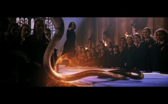 Harry Potter and the Chamber of Secrets - 693