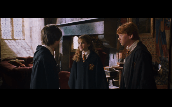 Harry Potter and the Chamber of Secrets - 696