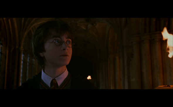 Harry Potter and the Chamber of Secrets - 702