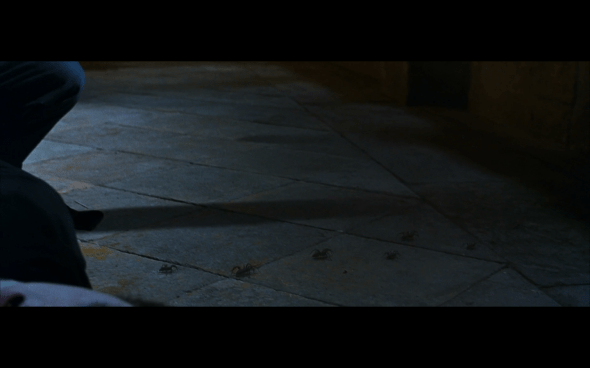 Harry Potter and the Chamber of Secrets - 706