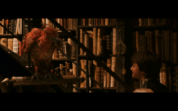 Harry Potter and the Chamber of Secrets - 717