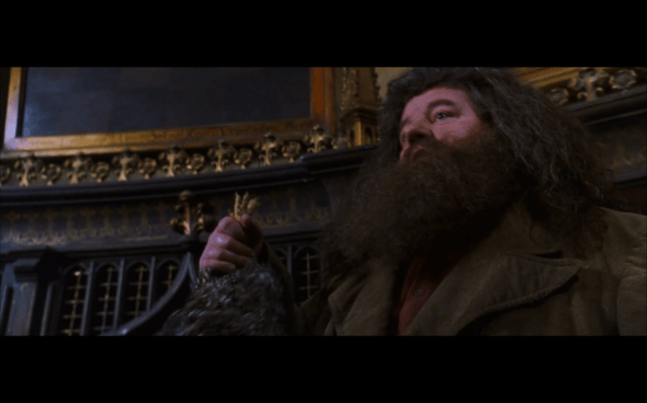 Harry Potter and the Chamber of Secrets - 729