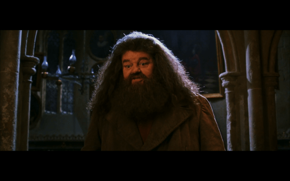 Harry Potter and the Chamber of Secrets - 730