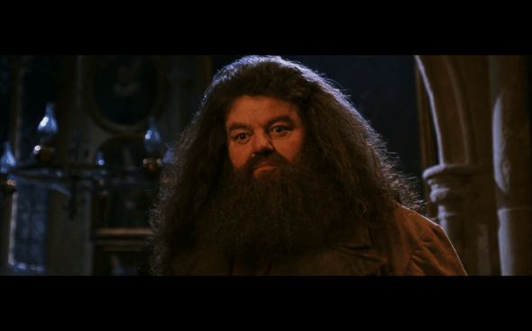 Harry Potter and the Chamber of Secrets - 732