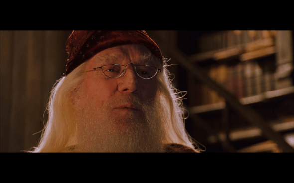 Harry Potter and the Chamber of Secrets - 737