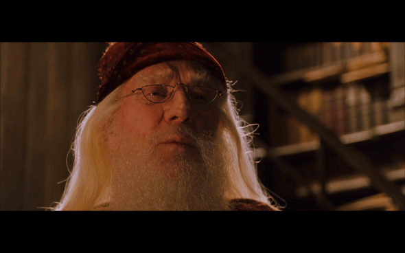 Harry Potter and the Chamber of Secrets - 738