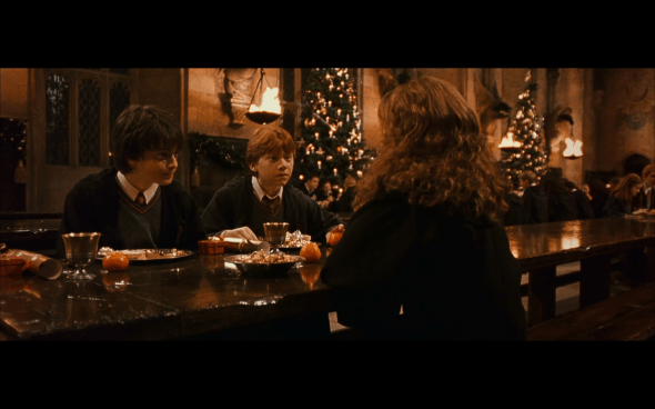 Harry Potter and the Chamber of Secrets - 749